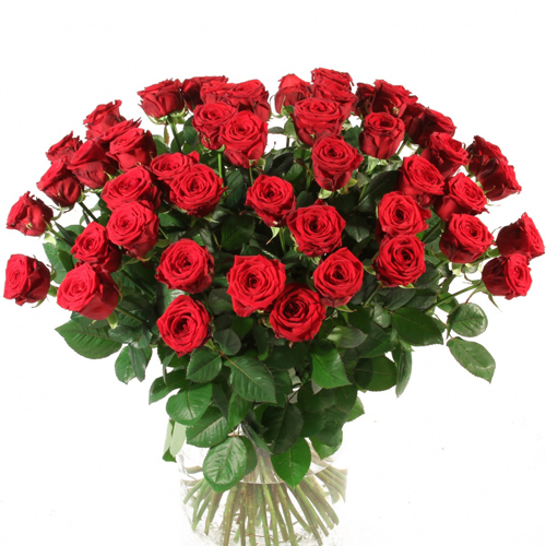rode rozen boeket Romance